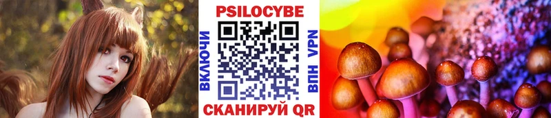 Галлюциногенные грибы Psilocybe Менделеевск